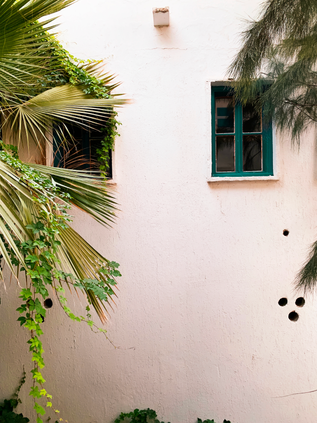 A minimalist white wall with teal-framed windows, adorned with lush greenery and palm leaves climbing along its surface.