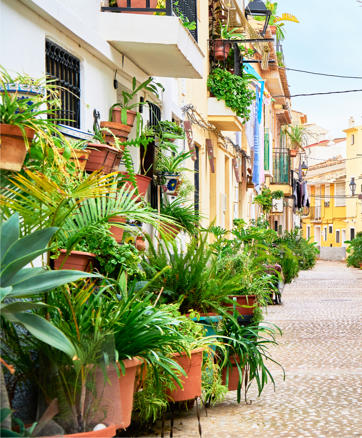 A picturesque cobblestone street lined with vibrant green plants in terracotta pots, set against colorful Mediterranean-style buildings with balconies and decorative details.