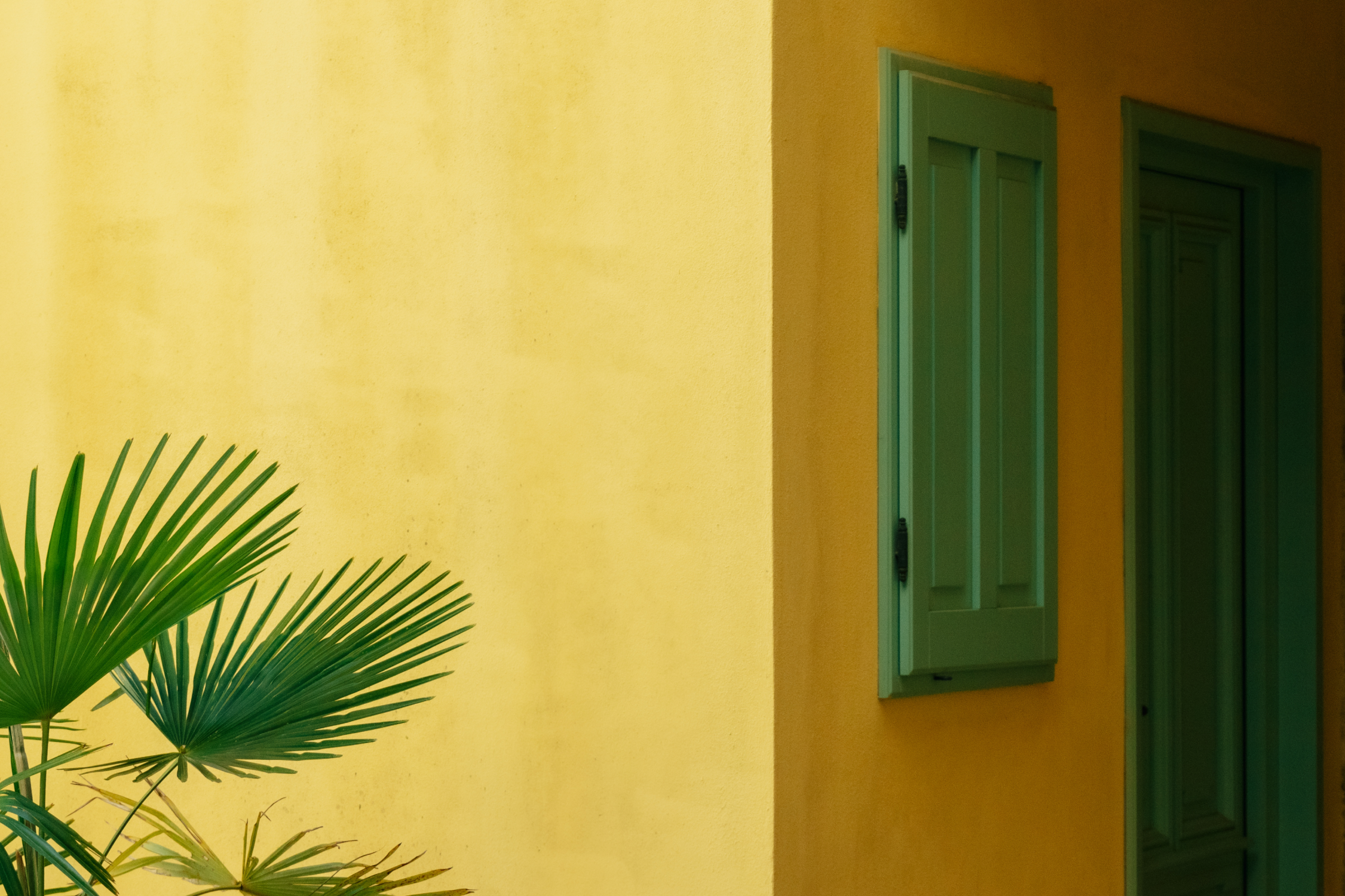 A minimalistic yellow wall with green shutters and a matching green door, accented by lush palm leaves in the foreground.